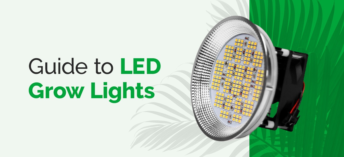 Guide-to-LED-grow-lights