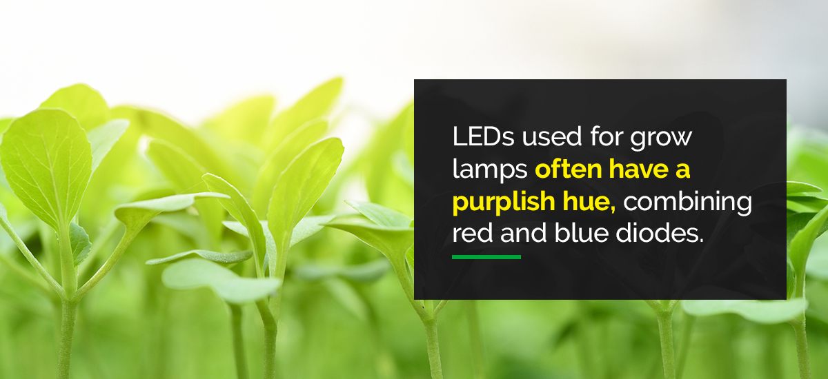 What Are LED Grow Lights?
