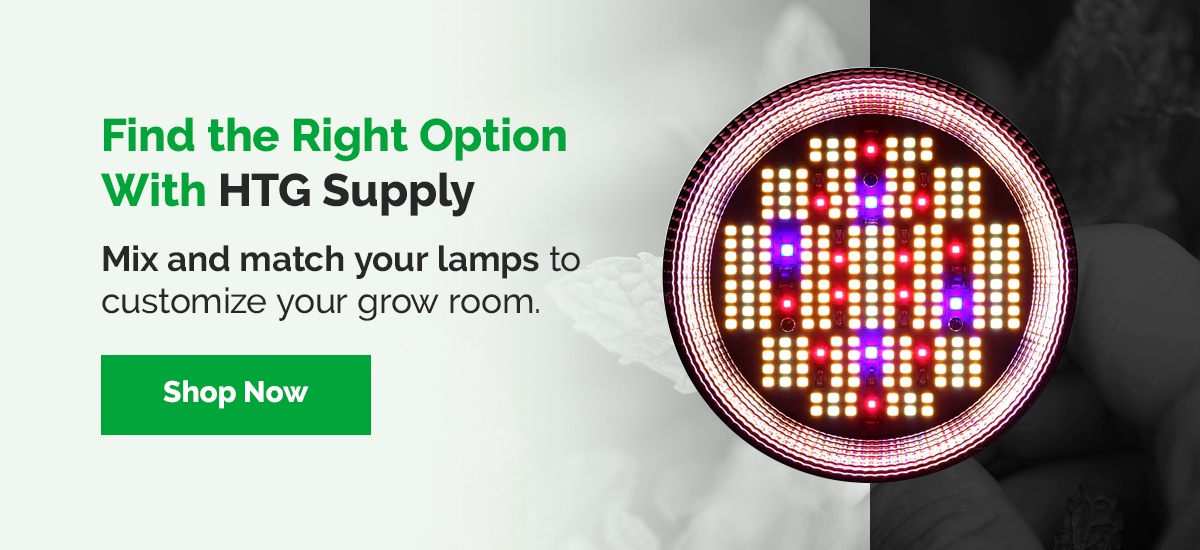 Find the Right Option With HTG Supply